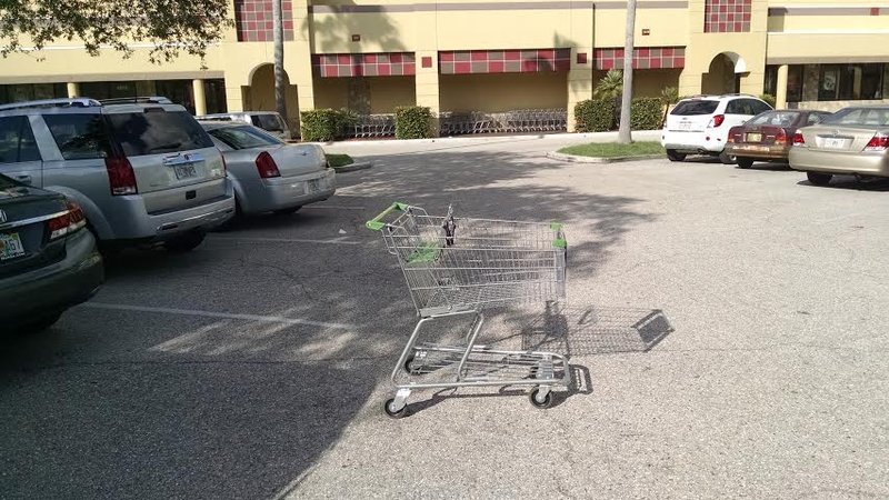 Illustration for article titled 2014 Publix Shopping Cart: The Oppositelock Review